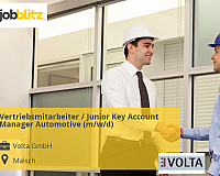Vertriebsmitarbeiter / Junior Key Account Manager Automotive (m/w/d)